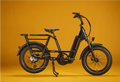 RadRunner™ Max Electric Cargo Utility Bike For Sale image 3