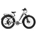 XPeak High-Step eBike For Sale image 3